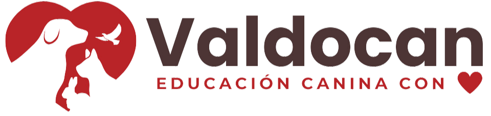 Academia Valdocan