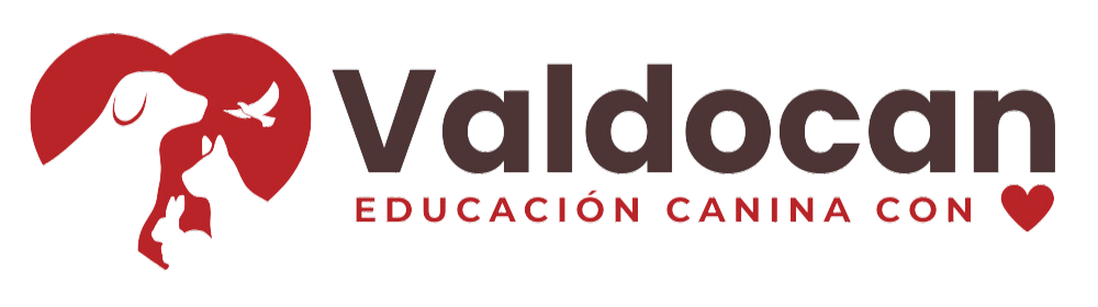 Academia Valdocan