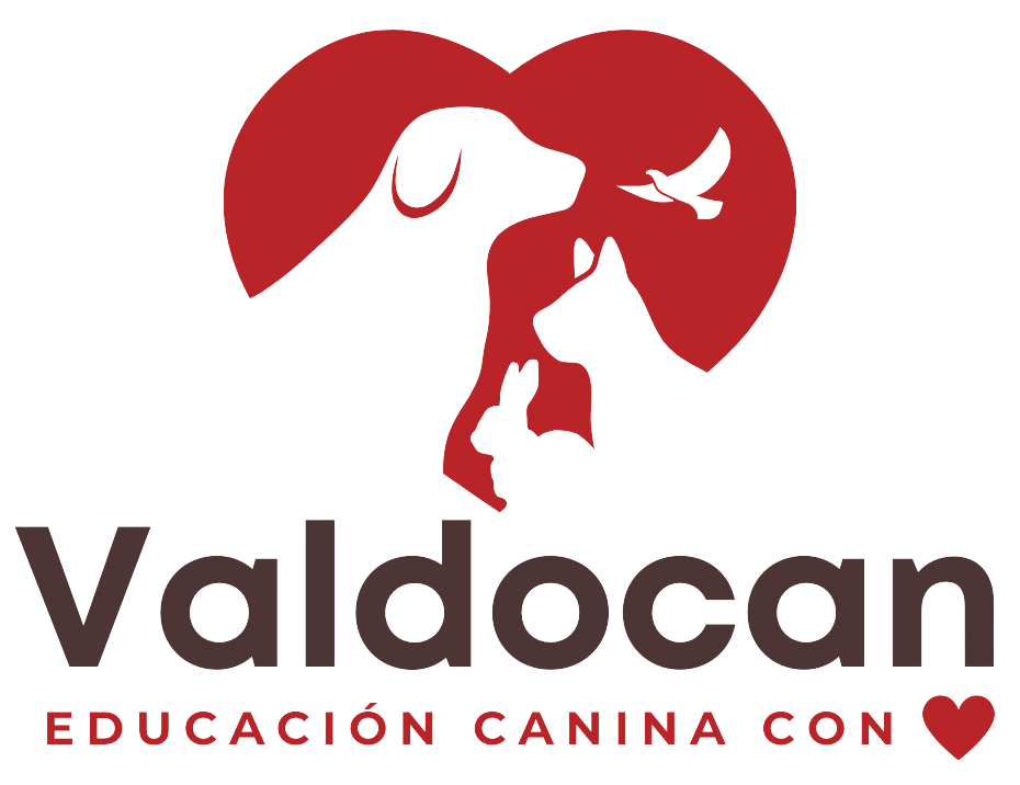 Academia Valdocan